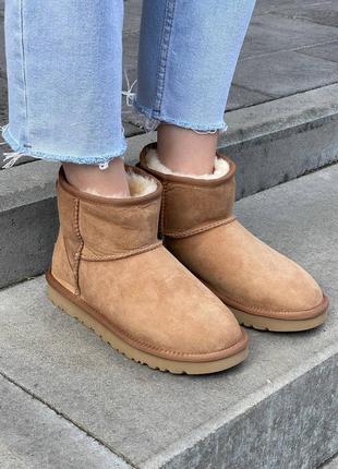 Женские угги ugg classic mini chestnut suede4 фото