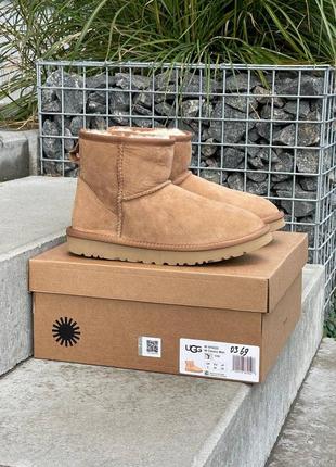 Женские угги ugg classic mini chestnut suede5 фото