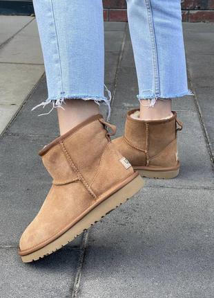 Женские угги ugg classic mini chestnut suede6 фото