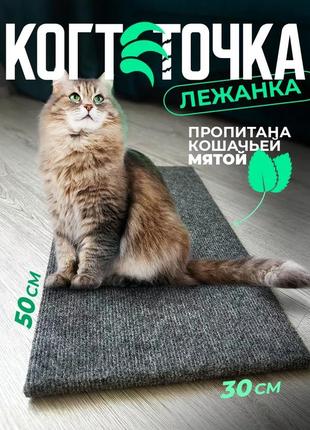 Кігтеточка лежанка підлогова з килималіна для кішки 50*30 см, для кішок; для котів; для кошенят8 фото