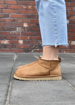 Зимние угги ugg ultra mini chestnut5 фото