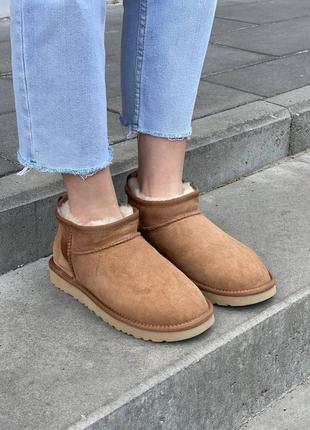 Зимние угги ugg ultra mini chestnut7 фото