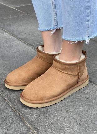 Зимние угги ugg ultra mini chestnut