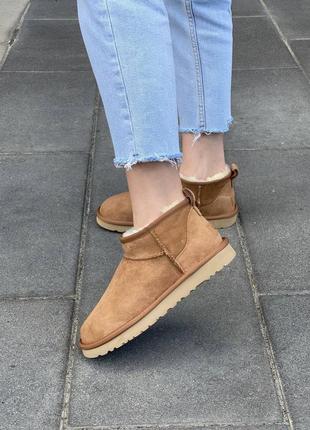 Зимние угги ugg ultra mini chestnut9 фото