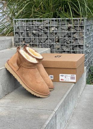 Зимние угги ugg ultra mini chestnut10 фото