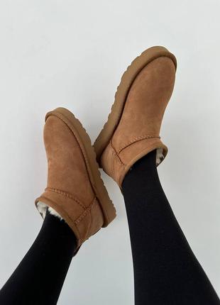 Жіночі угги ugg ultra mini chestnut suede premium