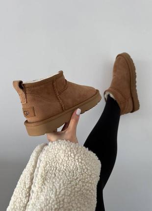 Жіночі угги ugg ultra mini chestnut suede premium