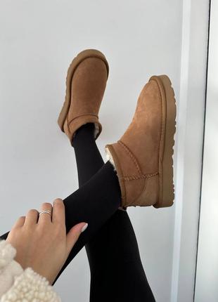 Жіночі угги ugg ultra mini chestnut suede premium