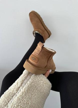 Жіночі угги ugg ultra mini chestnut suede premium