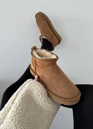 Женские угги ugg ultra mini chestnut suede premium5 фото