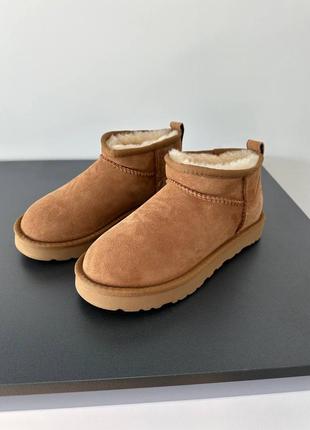 Жіночі угги ugg ultra mini chestnut suede premium