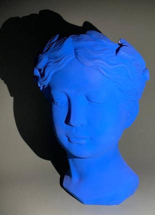 Гіпсове кашпо афіна в синьому кольорі для суккулентів, горщик з гіпсу для стабілізованого моха3 фото