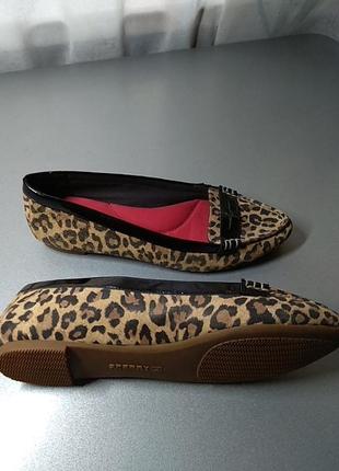 Топсайдеры sperry2 фото