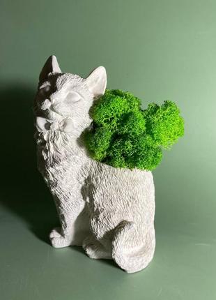 Велике кашпо кіт із стабілізованим мохом, гіпсове кашпо кіт із мохом, кашпо в композиції2 фото