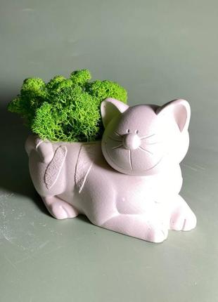 Гипсовое кашпо кот в композиции со стабилизированнім мхом, кашпо со мхом в кошка3 фото