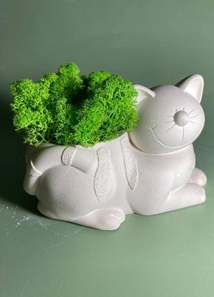 Гіпсове кашпо кіт у композиції зі стабілізованим мохом, кашпо з мохом у кішка2 фото