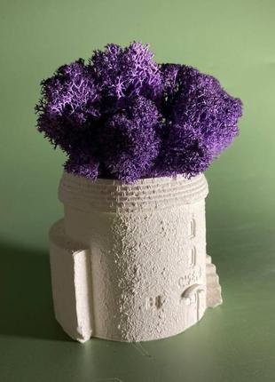 Кашпо замок з мохом, кашпо будинок зі стабілізованим мохом, гіпсове кашпо з мохом3 фото