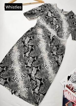 Сукня жіноча міді футляр сірого кольору в тваринний принт від бренду whistles s m
