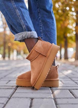 Натуральные угги на платформе, ugg ultra mini platform 4см. премиум. цвет chestnut