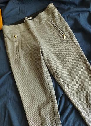 Легінси, брючки в,, гусячу лапку", 34 європейський