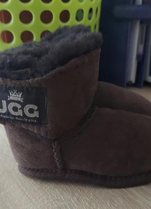 Ugg пинетки сапожки овчинка мех