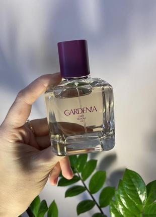 Жіночий парфум gardenia від zara в об’ємі 100 мл