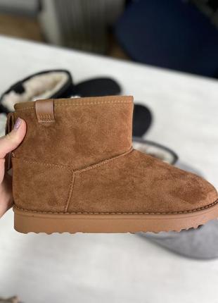 Ugg угги женские2 фото