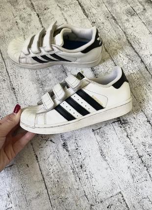 Кроссовки adidas superstar