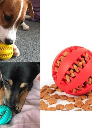 Интерактивные резиновые шарики, игрушки для собак