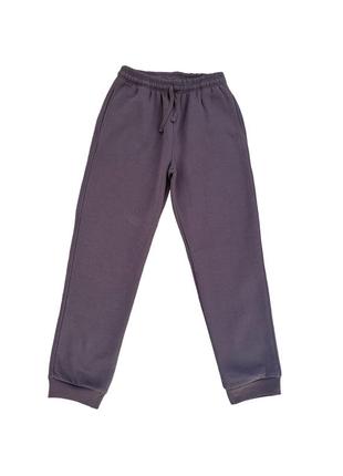 Чоловічі спортивні штани фліс m-3xl (фіолетовий)