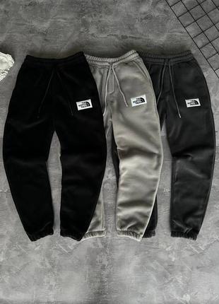 Штани tnf