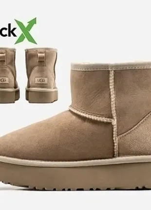 Угги зимние замшевые на платформе ugg mini platform❤️❄️