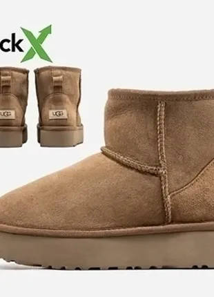 Угги зимние замшевые на платформе ugg mini platform❤️❄️1 фото