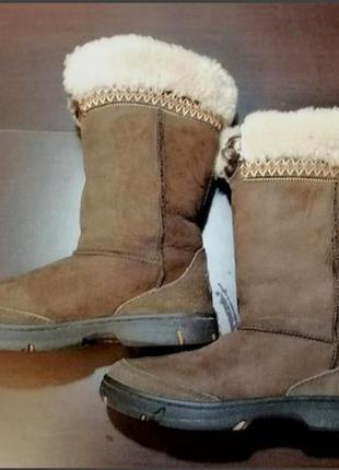 Сапоги ugg australia.