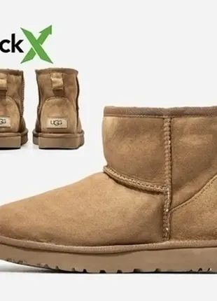 Угги замшевые зимние унисекс ugg classic mini