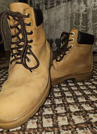 Черевики timberland premium 6 inch beige tb012909713