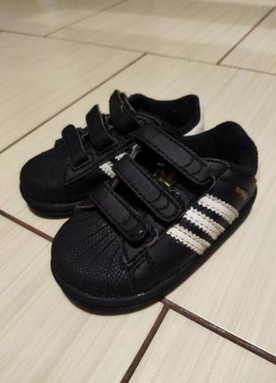 Шкіряні кросівки adidas superstar 23-24р