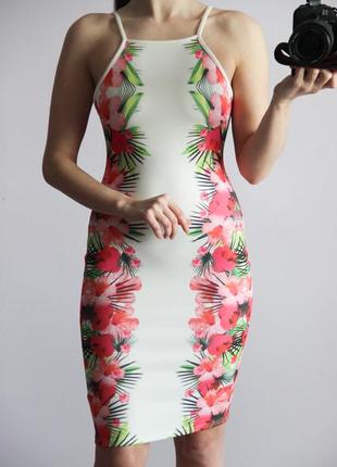 Гарне плаття miss selfridge