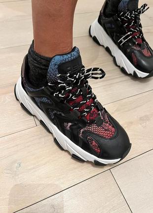 Кожаные кроссовки ash p -36