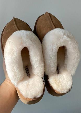 Ugg disquette slippers platform chestnut, угги женские3 фото