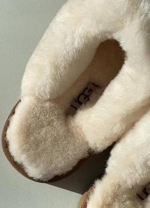 Ugg disquette slippers platform chestnut, угги женские7 фото