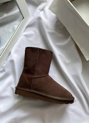 Зимові уггі високі ugg1 фото