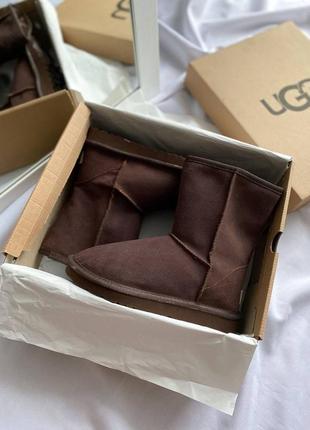 Зимові уггі високі ugg2 фото