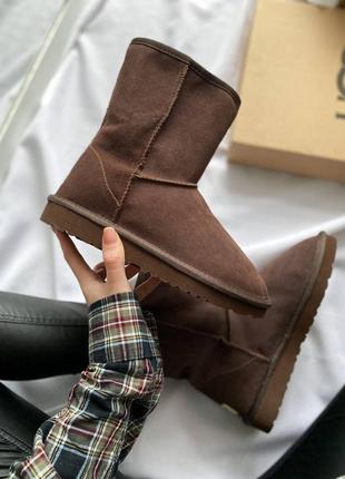 Зимові уггі високі ugg6 фото