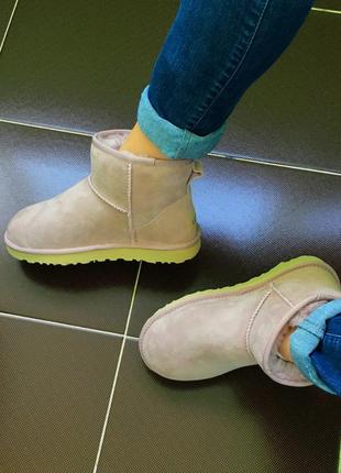 Жіночі угги ugg classic mini ii7 фото