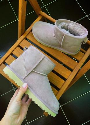 Жіночі угги ugg classic mini ii4 фото