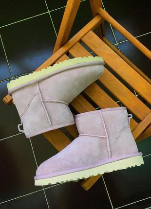 Жіночі угги ugg classic mini ii10 фото