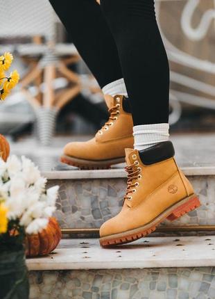 Зимние женские ботинки timberland1 фото