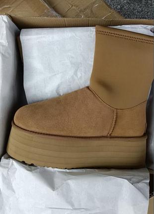 Угг угги уггі ugg classic dipper чорні та коричневі2 фото