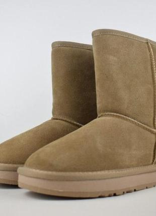 Ботинки женские осень - зима ugg угги бежевые высокие